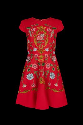 Madeline Embroidered Red Mini Dress