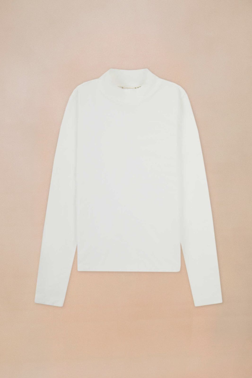 Turtle Neck Top