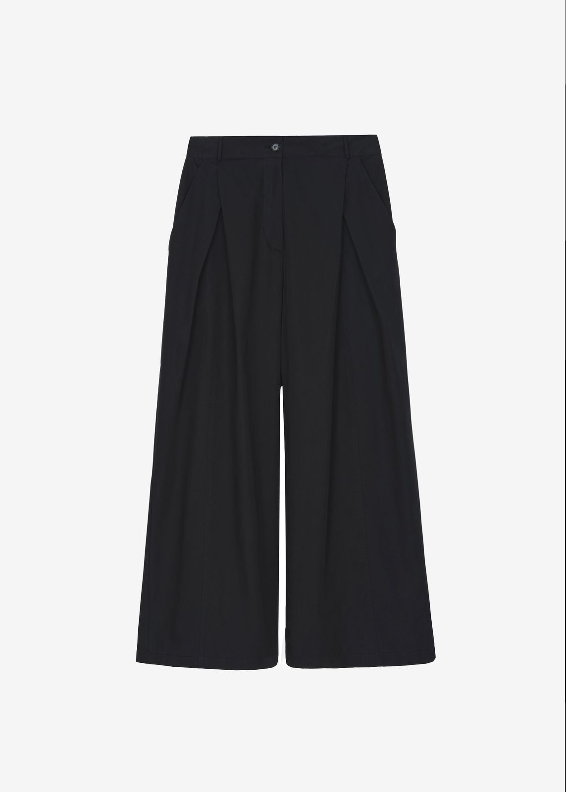 Ballia Pleated Pants - Black