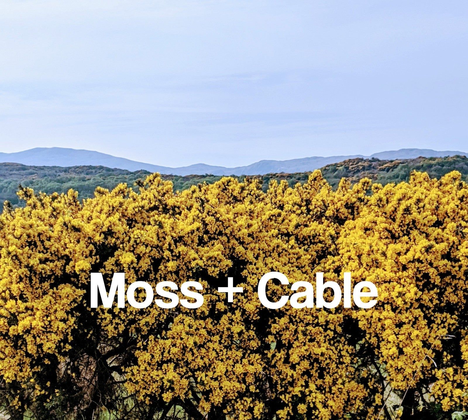Moss + Cable  E-Gift Card