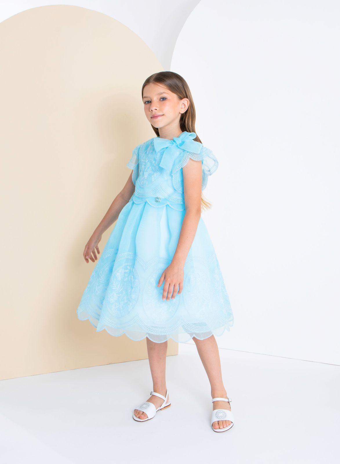 Embroidered Organza Dress