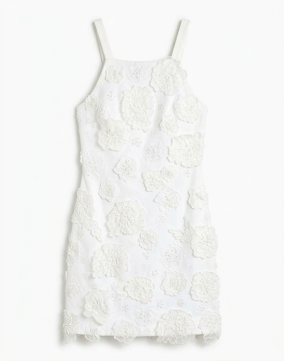 Embroidered Floral Applique Dress