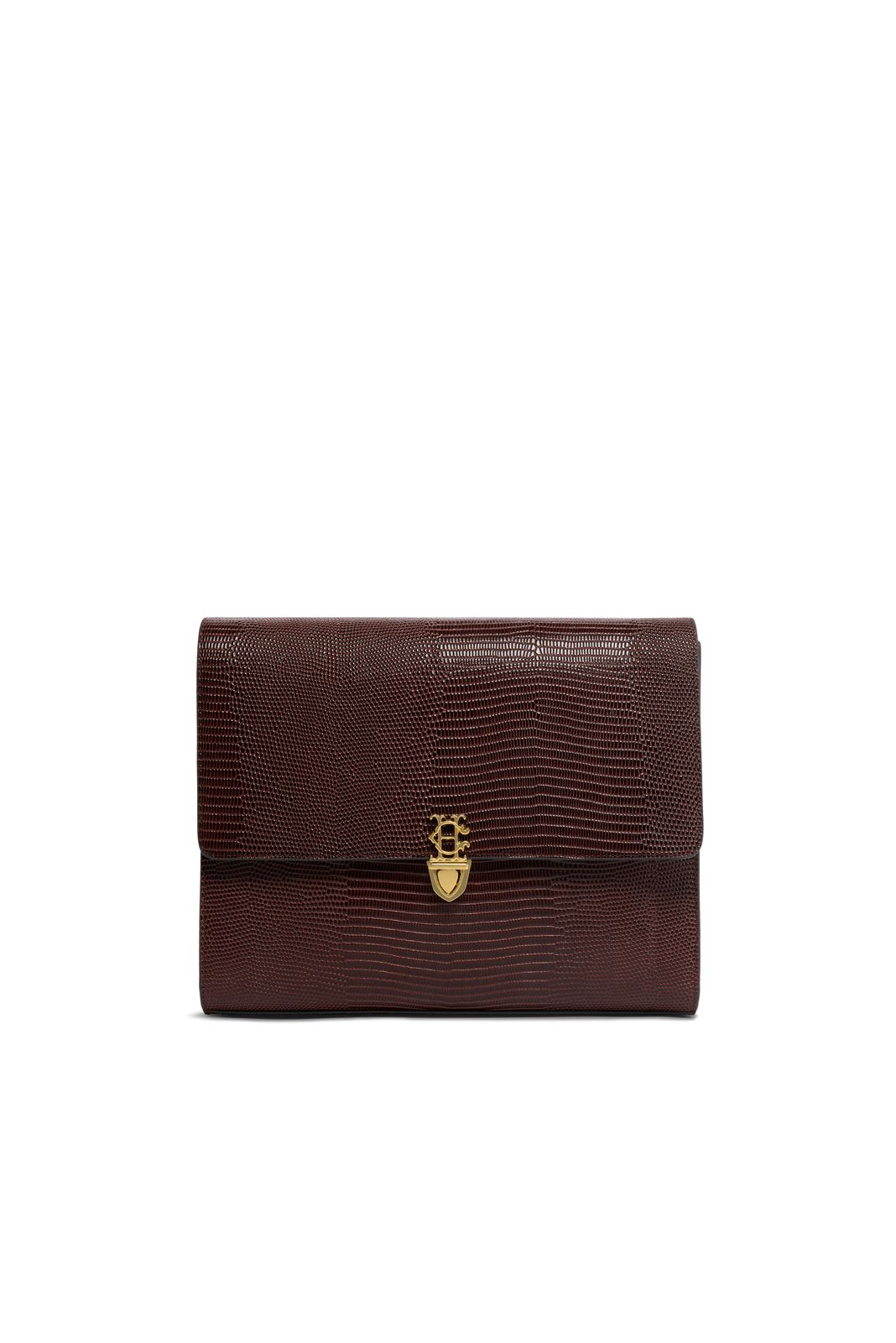 Executive Organiser (Chestnut Lizard)