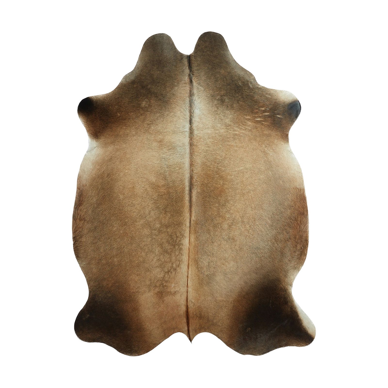 Cowhide Rug - Brown & White (200cm x 160cm)