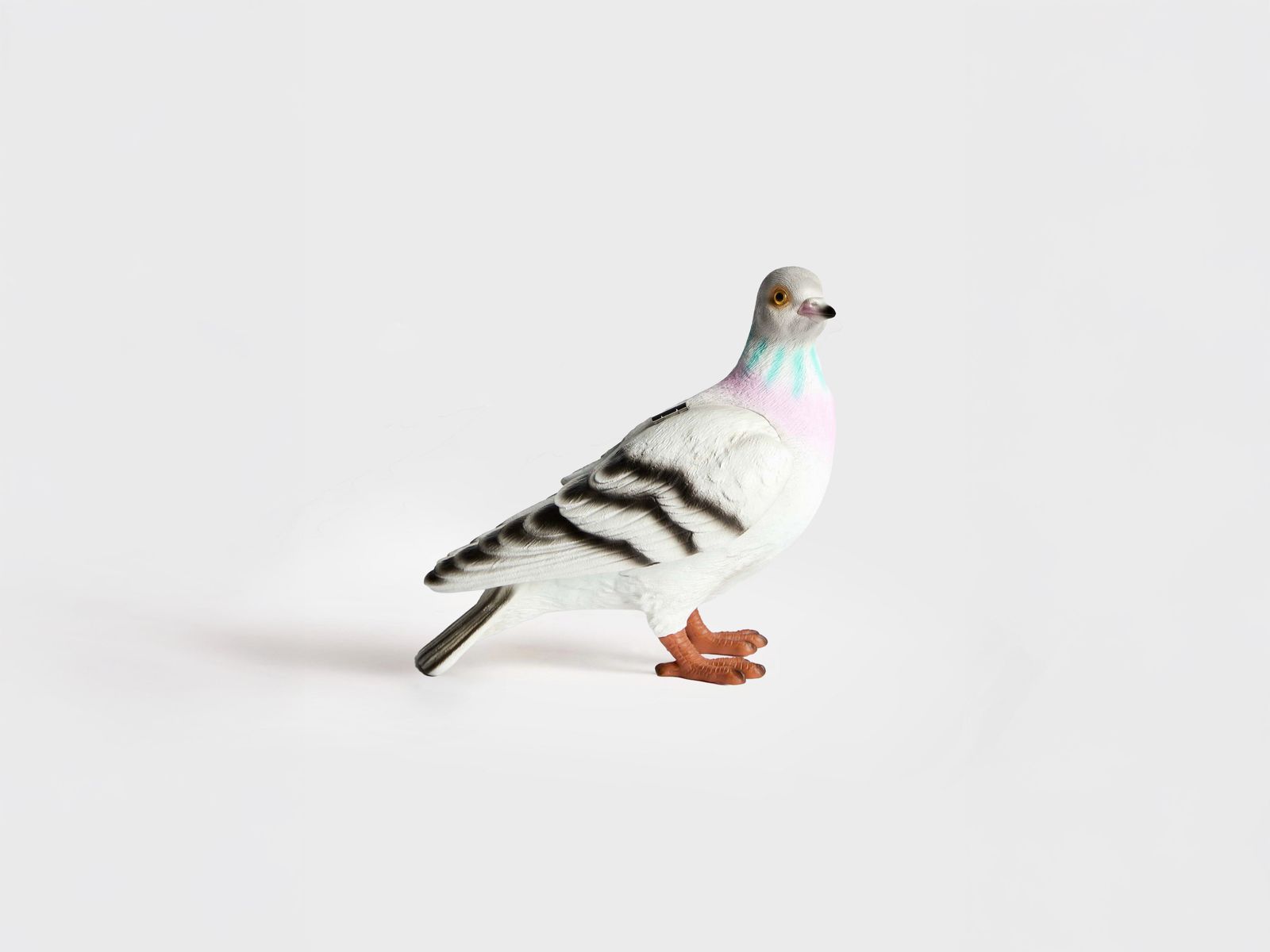 CL_PIGEON CLUTCH - GREY_AC0441FA0178