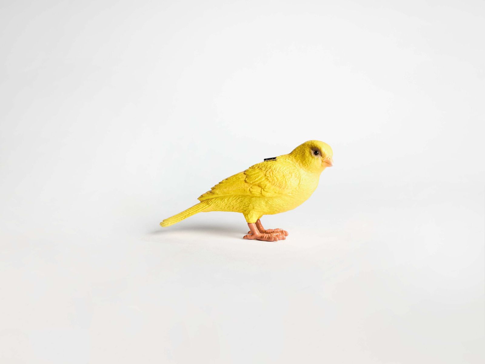 CL_CANARY CLUTCH - YELLOW_AC0443FA0178