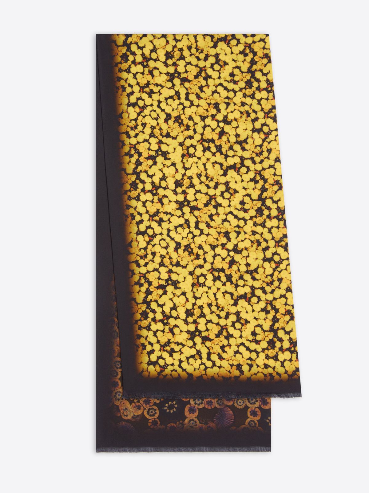 Printed scarf