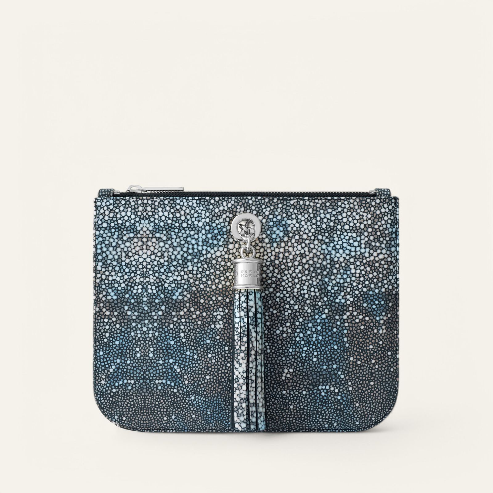 Ivy | Multi Colour Shagreen with Silver hardware