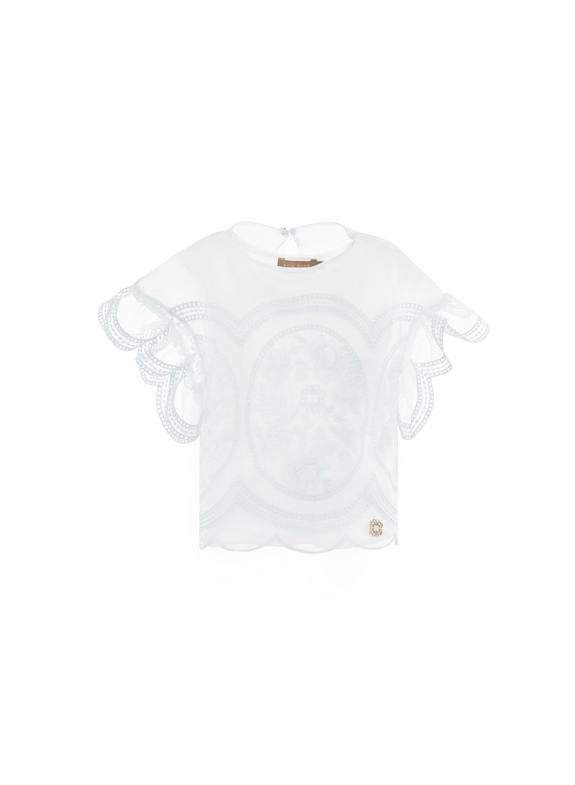 Embroidered Organza Top