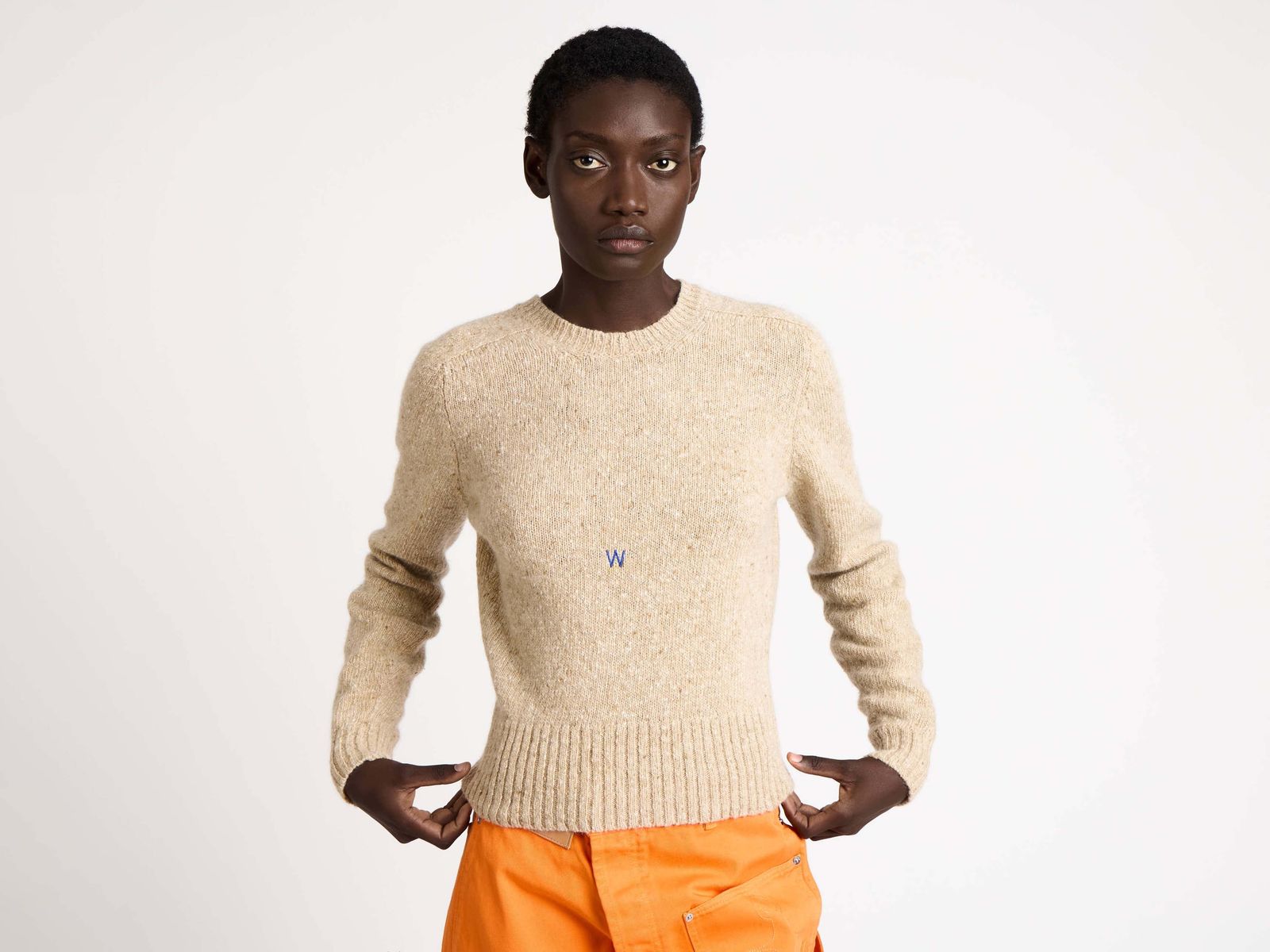 CL_SLEEVE EMBROIDERED CREW NECK JUMPER - VIOLET_KW1452YN0458