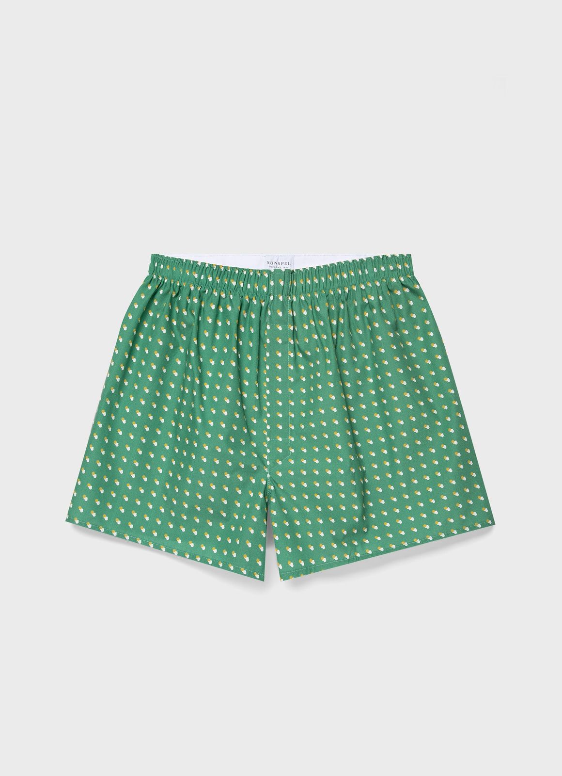 Men's Classic Boxer Short in Green Sun & Clouds