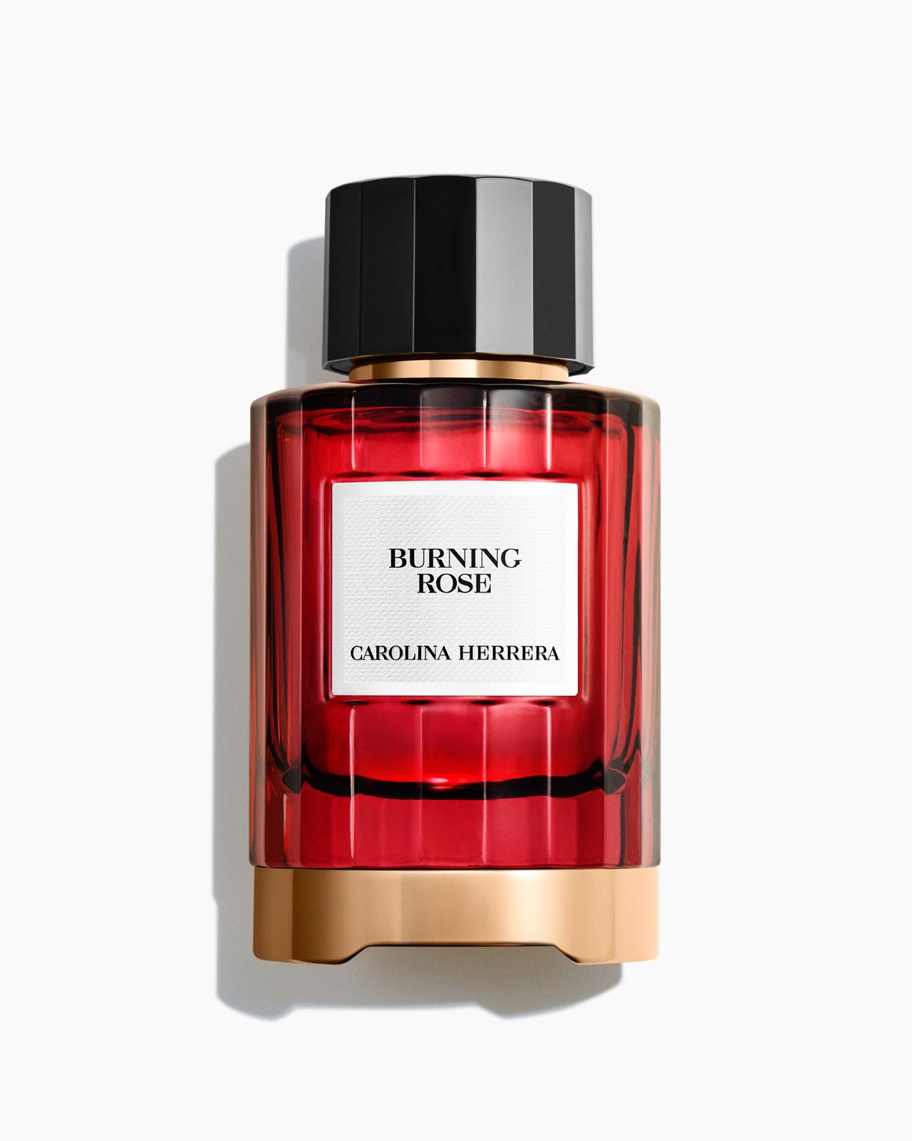 Burning Rose 100ml Eau de Parfum