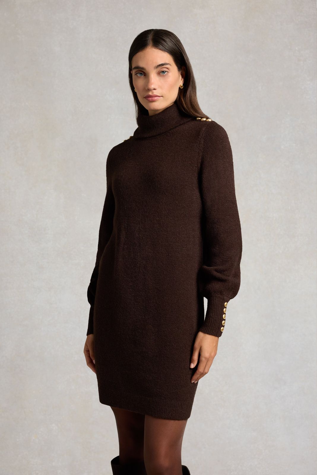 Berkeley Roll Neck Mini Dress (Chocolate)