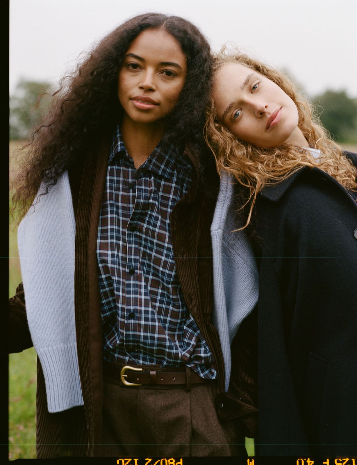The Classic: Fine Brushed, Chocolate and Cornflower Blue Check