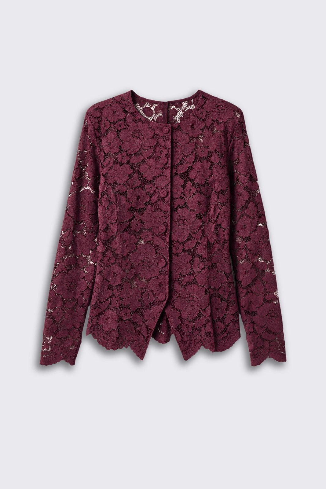 Jilli - Maroon