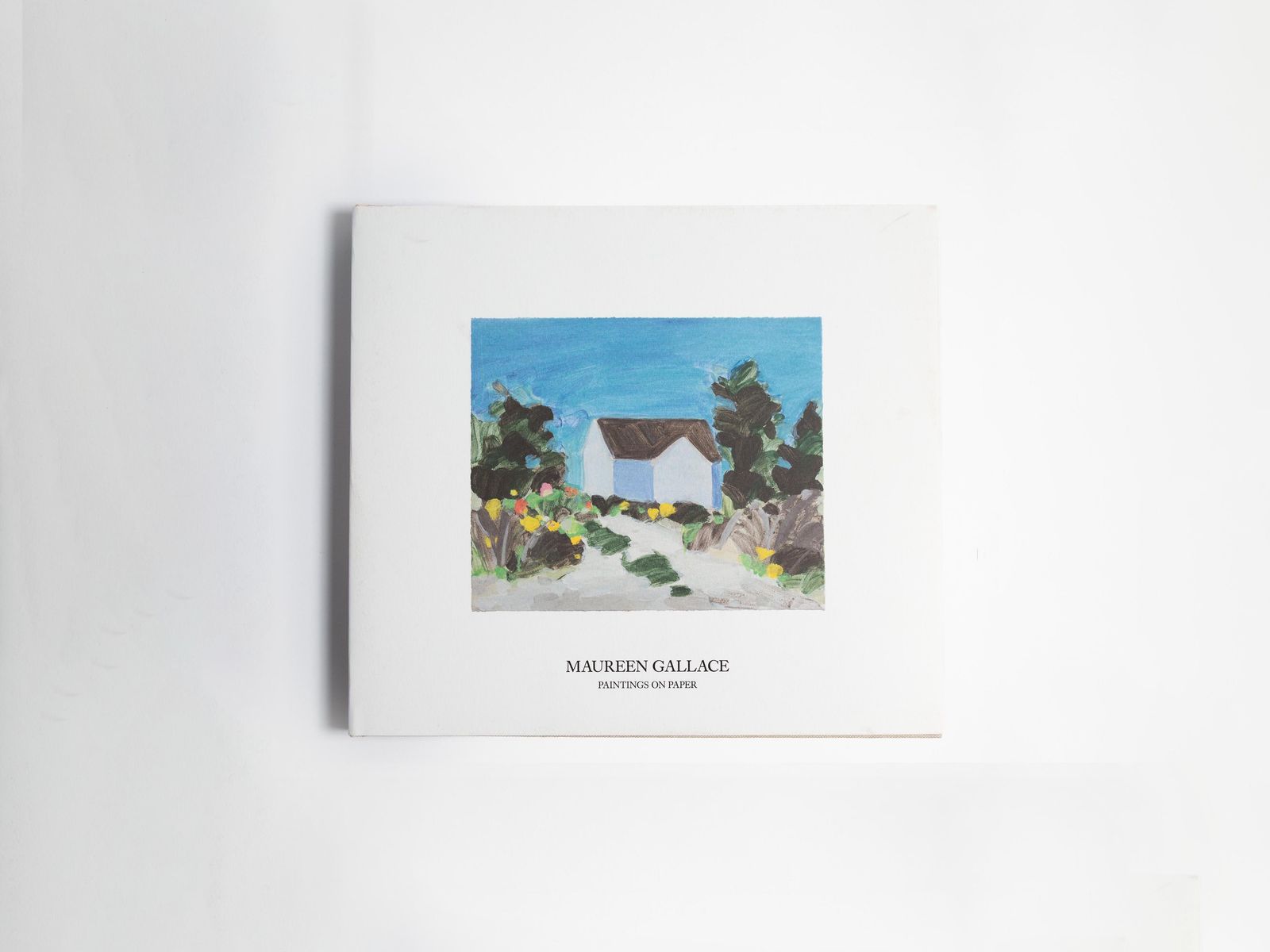 MAUREEN GALLACE: PAINTINGS ON PAPER