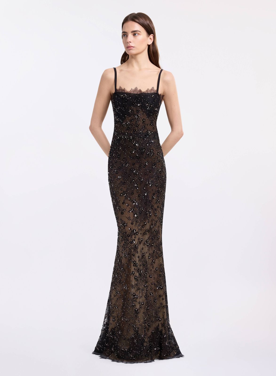 Lace Embroidered Long Dress