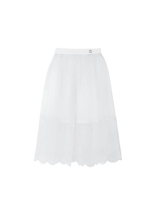 Embroidered Organza Skirt