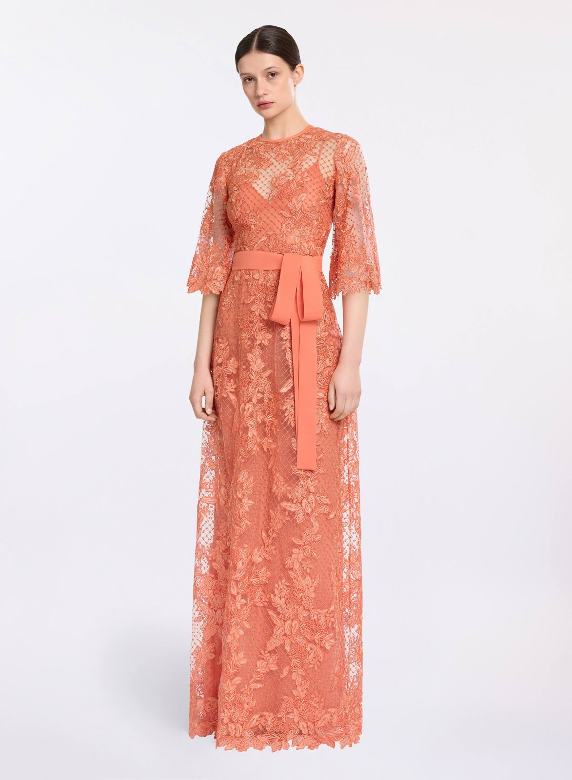 Embroidered Tulle and Lace Dress