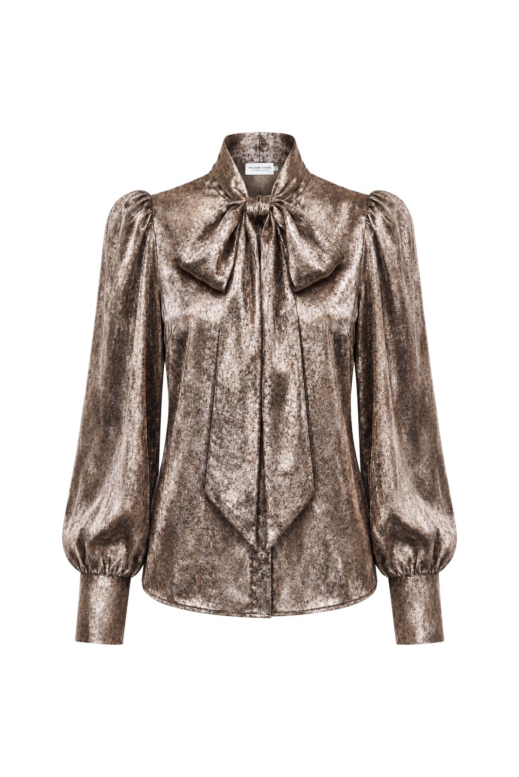 Ariella Sparkle Blouse (champagne)